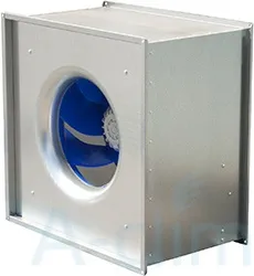BFS 700x700 D3